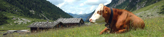 Sport & Umgebung - Umgebung & Angebote - Oberstaufen PLUS